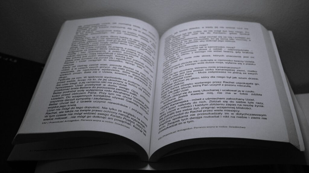 Pierwsza wojna w niebie: Dziedzictwo