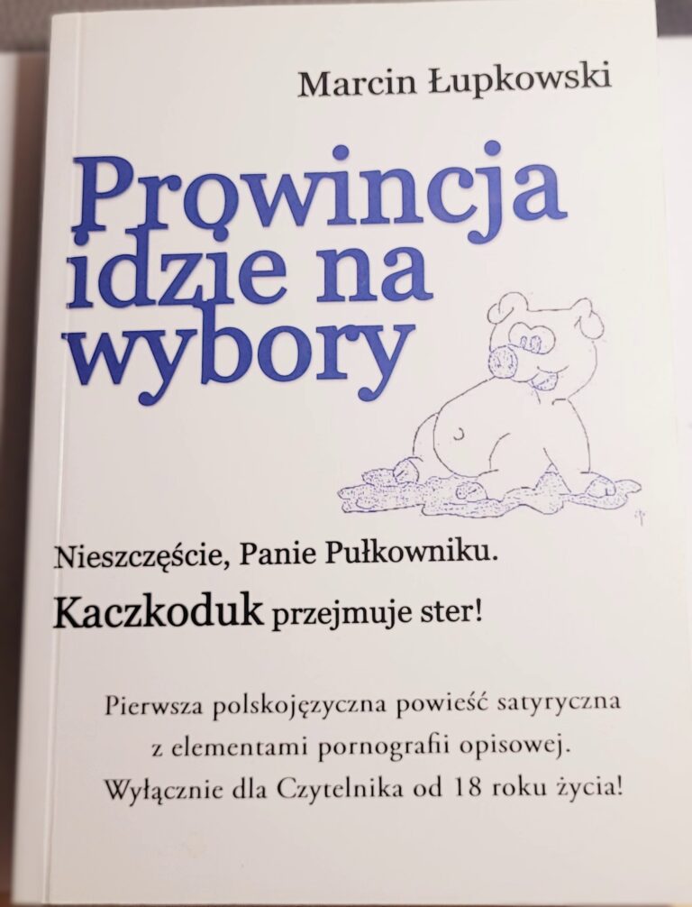 Prowincja idzie na wybory - fragment wstępu