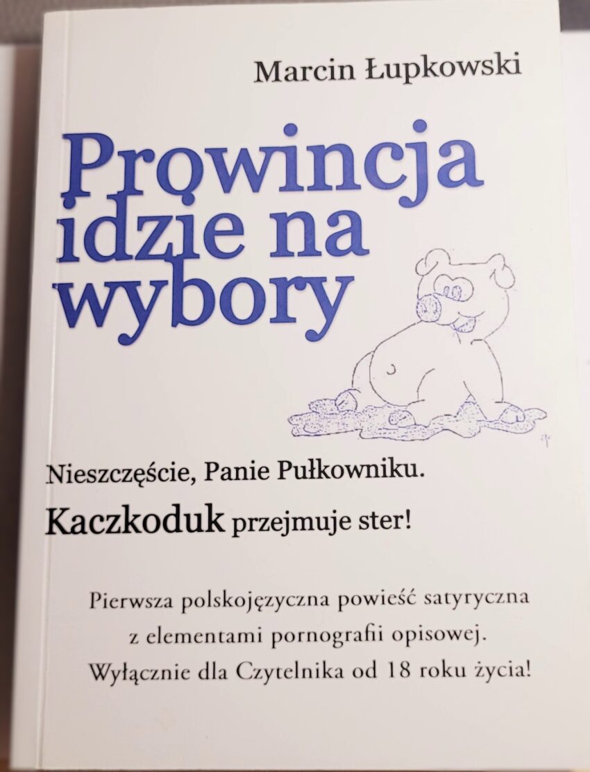 Prowincja idzie na wybory - fragment wstępu